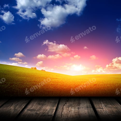 Preview: Green Field Under Blue Sky. Wood Planks Floor