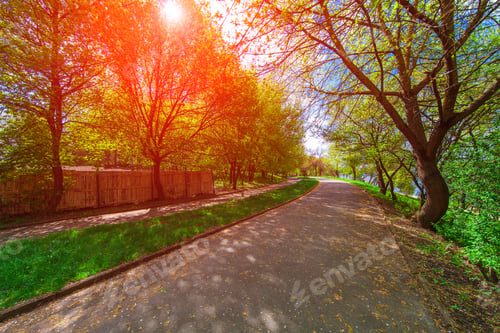Preview: Beautiful Avenue In To The Park
