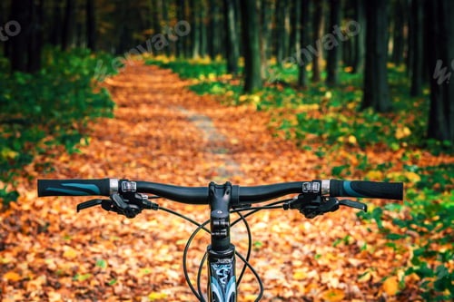 Preview: Mountain Biking Down Hill Descending Fast On Bicycle. View From Bikers Eyes.