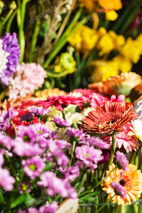 Preview: Colorful Flowers Closeup