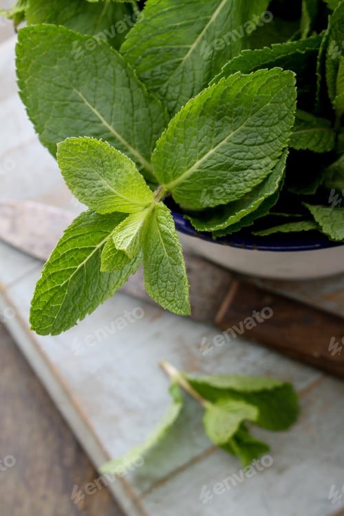 Preview: Preparing Fresh Mint Herb