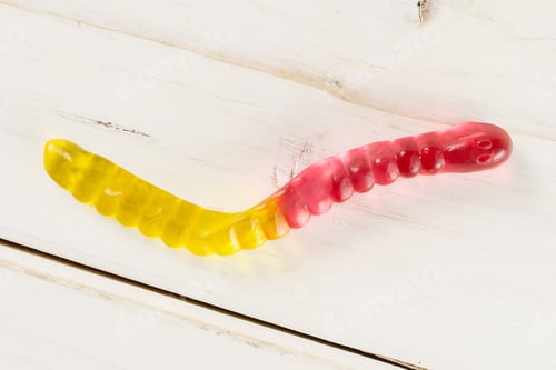 Preview: One Whole Crimson Yellow Colourful Jelly Worm Candy Flatlay On White Wood