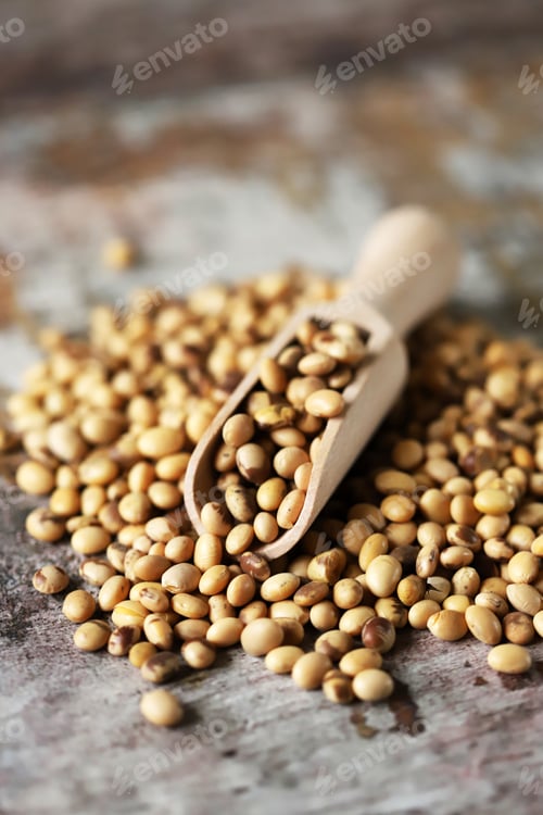 Preview: Soya Beans. Vegan Concept. Healthy Diet. Selective Focus. Macro.