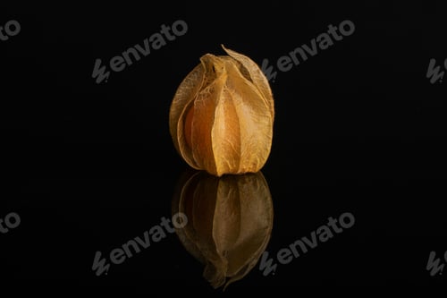 Preview: One Whole Fresh Orange Physalis Isolated On Black Glass