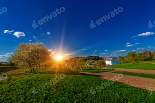 Preview: Green Field And Beautiful Sunset