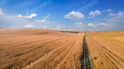 Preview: Top View Of The Farmhouses With Gardens And The Road