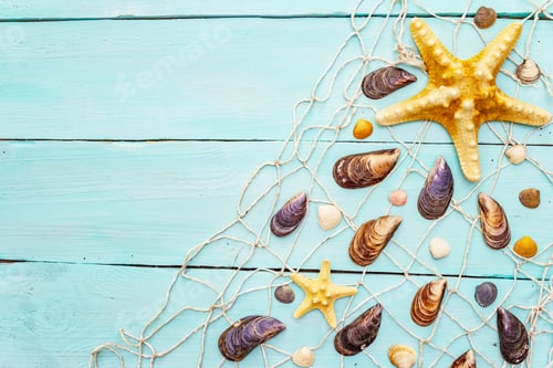 Preview: Seashells Summer Background. Lots Of Different Seashells Piled Together, Mussels, Starfish, Fishnet
