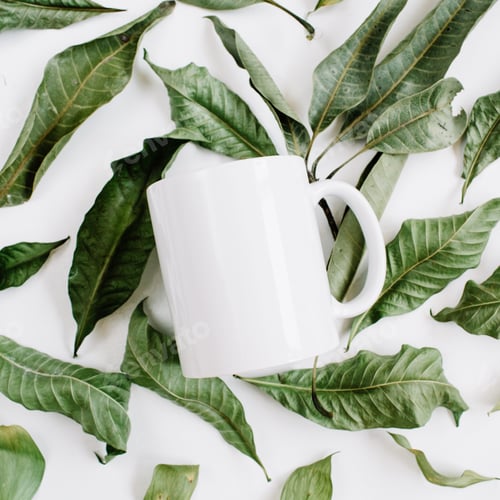 Preview: Blank Template Of White Mug And Green Leaves On White Background. Flat Lay, Top View.