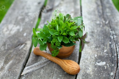 Preview: Fresh Herbs In A Wooden Mortar On Wooden Table