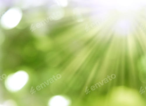 Preview: Abstract Nature Spring Background Blurred Green Yellow Leaves