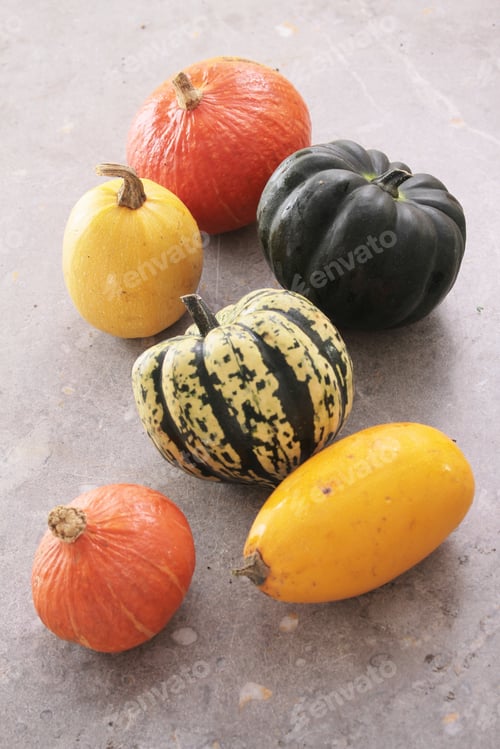 Preview: Squash Vegetable Selection