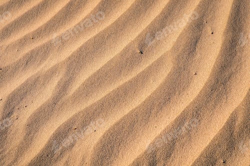 Preview: Golden Texture Of Sand Dunes. Abstract Wavy Lines Background. Sand Ripples In The Desert