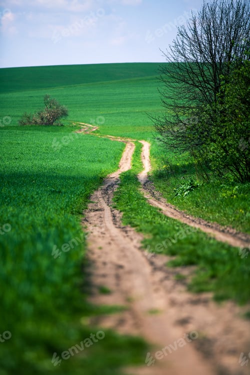 Preview: Beatiful Morning Green Field With Blue Heaven