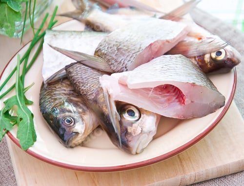 Preview: Raw Fish On A Plate