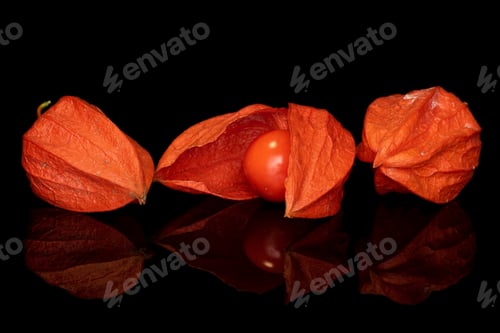 Preview: Group Of Three Whole Fresh Orange Physalis Isolated On Black Glass