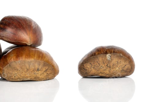 Preview: Group Of Three Whole Edible Brown Chestnut Isolated On White Background