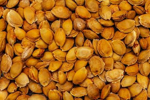 Preview: Apricot Seeds Background. Wooden Boards Backdrop, Top View