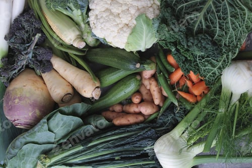 Preview: Vegetable Selection Background