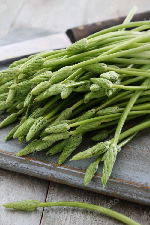 Preview: Preparing Wild Asparagus