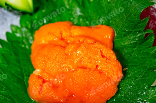 Preview: Macro Closeup Of Fresh Sushi Choice Combination Assortment Selection