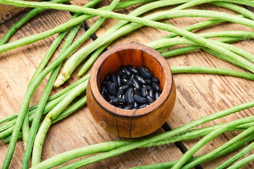 Preview: Vigna Or Cowpea Pods And Beans.Vegetable Plant.Popular Chinese Food.