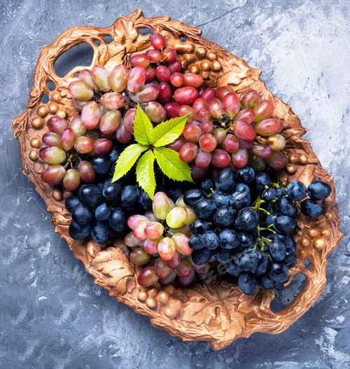 Preview: Large Poster With Ripe Brushes Of Grapevine Of Autumn Varieties