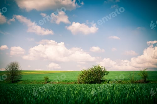 Preview: Beatiful Morning Green Field With Blue Heaven