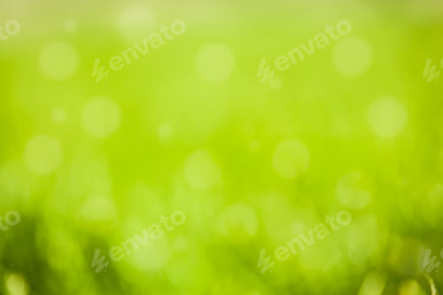 Preview: Abstract Circular Green Bokeh Background