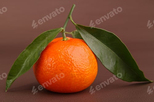 Preview: Clementine