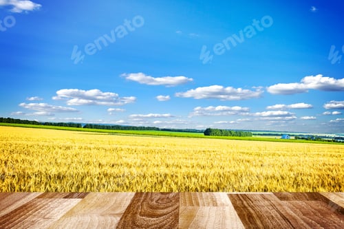 Green Field Blue Sky