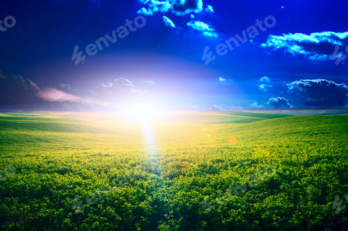 Preview: Green Night Field. Star Sky