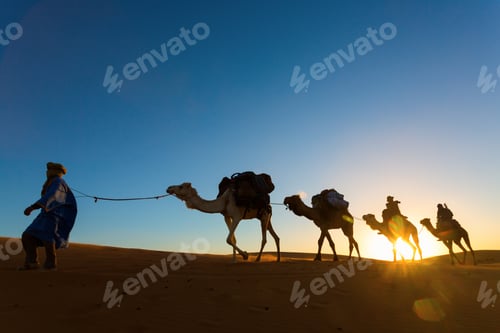 Preview: Camel Caravan Going Through The Desert