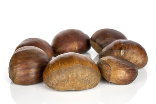 Preview: Group Of Seven Whole Edible Brown Chestnut Circle Isolated On White Background