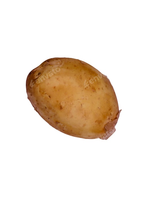 Preview: Single Young Potato Isolated On White Background