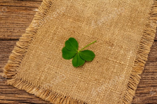 Preview: Four-Leaf Clover, Fresh Plant On Sackcloth. Good Luck Symbol, St.Patrick'S Day Concept. Old Wooden