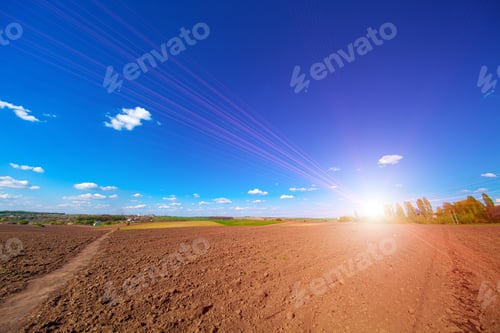 Preview: Green Field And Beautiful Sunset