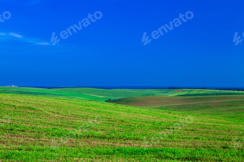 Preview: Beatiful Morning Green Field With Blue Heaven
