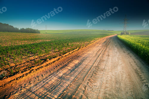 Preview: Green Field And Beautiful Sunset