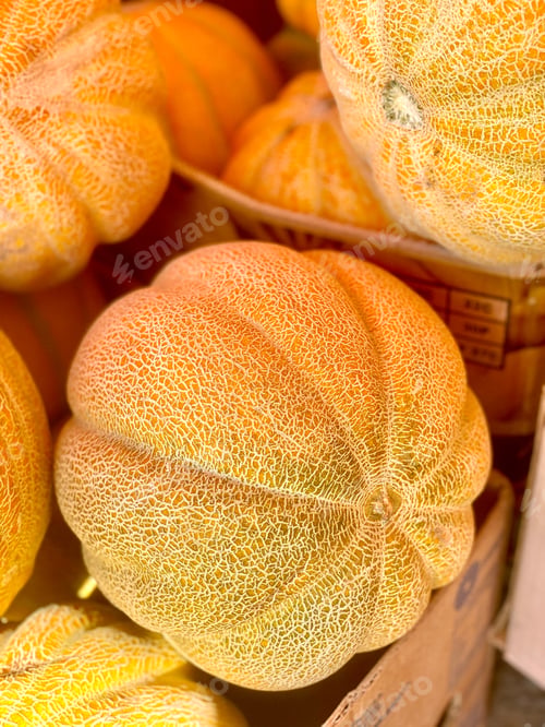 Preview: Whole Ripe Juicy Organic Melons On The Market. Summer Harvest Of Fruits. Selective Focus