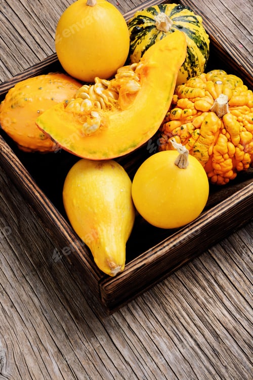 Preview: Autumn Seasonal Background With Pumpkinsin Box.Autumn Nature Concept.Harvesting