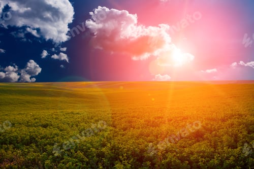 Preview: Green Field And Beautiful Sunset