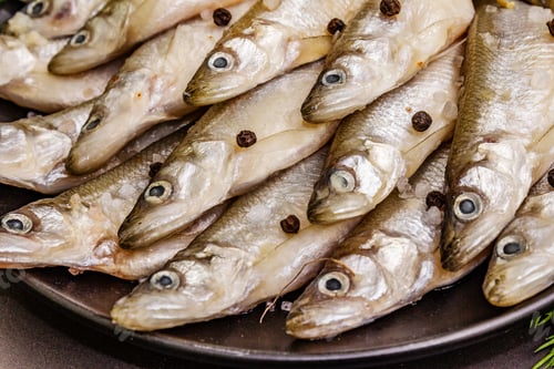 Preview: Raw Sea Fish Smelt, Sardines, Anchovies, Capelin With The Scent Of Fresh Cucumber Ready For