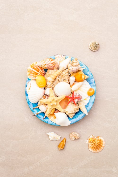 Preview: Seashells Summer Background. Lots Of Different Seashells Piled Together In Blue Plate, Copy Space