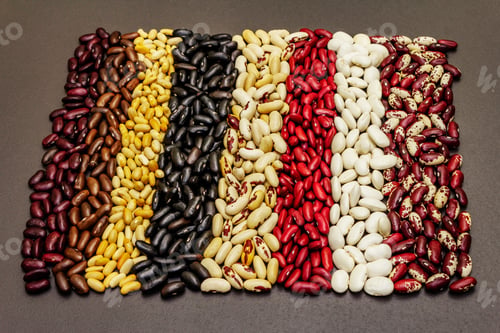 Preview: Set Of Various Dry Legumes Scattered In Stripes, Indispensable Protein For A Healthy Lifestyle