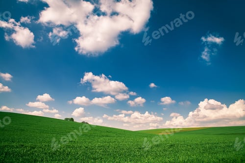 Preview: Green Grass Under Blue Sky