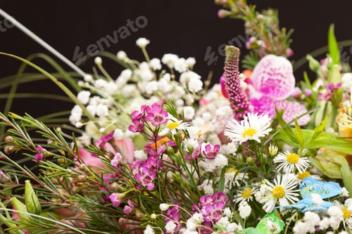 Preview: Bouquet Of Colorful Flowers