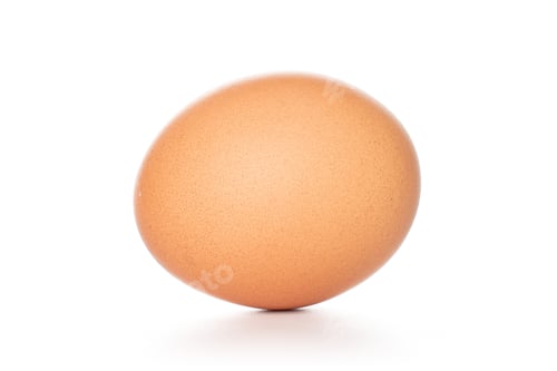Preview: One Whole Chicken Egg Isolated On White Background