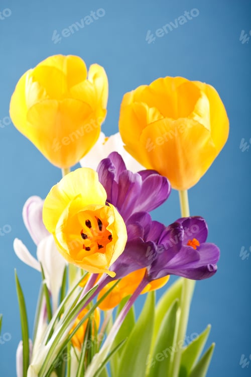 Preview: Spring Flowers