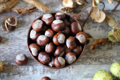 Preview: Chestnuts In A Bowl. Buckeyes. Autumn Composition With Chestnuts.