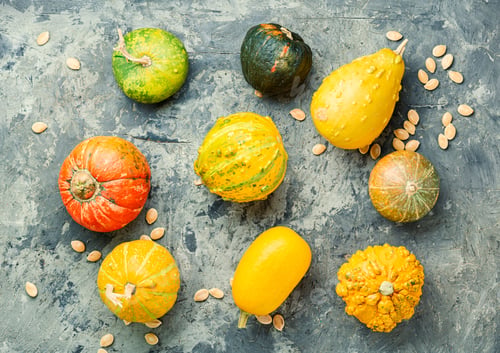 Preview: Big Set Of Pumpkins.Autumn Symbol.Mini Pumpkin